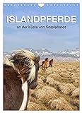 ISLANDPFERDE an der Küste von Snæfellsnes (Wandkalender 2023 DIN A4 hoch), Calvendo Monatskalender