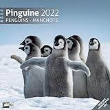Pinguine 2022, Wandkalender / Broschürenkalender im Hochformat (aufgeklappt 30x60 cm) - Geschenk-Kalender mit Monatskalendarium zum Eintragen