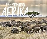 Faszination Afrika 2023: Großer Wandkalender. Foto-Kunstkalender afrikanischer Tiere in der Natur. Querformat 55 x 45,5 cm.
