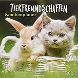 Tierfreundschaften - Familientimer 2022: Broschürenkalender mit Ferienterminen. Format: 30 x 30 cm