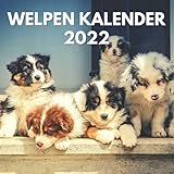 Welpen Kalender 2022: Ein Monatlicher Broschürenkalender Hundewelpen 2022 Für Schreibtisch, Büro, ideal zum Schreiben von Terminen, Geburtstagen, ... Frauen, Mädchen, Hundefreunde, Hundebesitzer