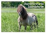 Charakterstarke Islandpferde (Wandkalender 2023 DIN A3 quer)