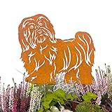 Terma Stahldesign Gartenstecker Edelrost Hund Havaneser Handmade Germany, Höhe 30cm tolle gartendeko aus Rost-Metall, deko rostoptik, Rostfiguren Tiere,