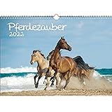 Pferdezauber DIN A3 Kalender für 2022 Pferde und Fohlen - Seelenzauber