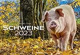 Schweine 2023: Der sympathische Schweine-Kalender mit den charmanten Namen
