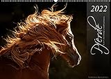 Pferde - Anmut und Stärke gepaart mit Magie (Wandkalender 2022 DIN A2 quer)