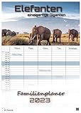 Elefanten - einzigartige Giganten - 2023 - Kalender DIN A3 - (Familienplaner): Der Wandkalender mit den schönsten Elefant-Motiven!