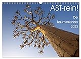 Astrein! - Der Baumkalender 2023 (Wandkalender 2023 DIN A3 quer)