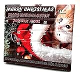 Leitner Adventskalender für Katzen Katzenspielzeug Weihnachten