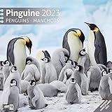 Pinguine 2023, Wandkalender / Broschürenkalender im Hochformat (aufgeklappt 30x60 cm) - Geschenk-Kalender mit Monatskalendarium zum Eintragen