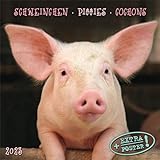 Piggies/Schweinchen 2023: Kalender 2023