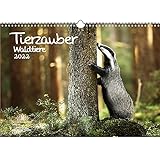 Tierzauber Waldtiere DIN A3 Kalender für 2022 Tiere im Wald - Geschenkset Inhalt: 1x Kalender, 1x Weihnachtskarte (insgesamt 2 Teile)