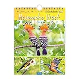 Trötsch Wochenkalender zum Hängen Hemische Vögel 2023: Wandkalender
