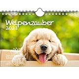 Welpenzauber DIN A5 Wandkalender für 2023 Hunde Welpen - Seelenzauber