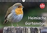Heimische Gartenvögel (Wandkalender 2022 DIN A4 quer)