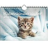 Katzenkinderzauber DIN A5 Wandkalender für 2023 Katzenkinder Katzenbabys - Seelenzauber