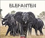 Elefanten Kalender 2023
