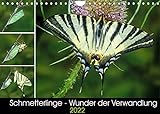 Schmetterlinge - Wunder der Verwandlung (Wandkalender 2022 DIN A4 quer)