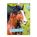 Trötsch Classickalender Pferde 2023: Wandkalender