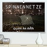 Spinnennetze - Wunder der Natur (Premium, hochwertiger DIN A2 Wandkalender 2023, Kunstdruck in Hochglanz)