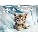 Katzenkinderzauber DIN A4 Kalender für 2023 Katzenkinder Katzenbabys - Seelenzauber