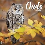 Owls - Eulen 2023 - 16-Monatskalender: Original Avonside-Kalender [Mehrsprachig] [Kalender] (Wall-Kalender)