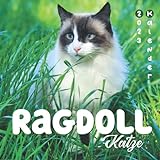 Ragdoll Katze Kalender 2023: 18-Monats-Kalender von Juli 2022 bis Dezember 2023 - Behalten Sie den Überblick über wichtige Details, Notizen und Termine