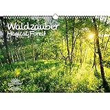 Waldzauber DIN A3 - Immerwährender Kalender Wald - Seelenzauber