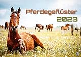 Pferdegeflüster - Der Pferdekalender - 2023 - Kalender DIN A2: Der Wandkalender mit den schönsten Pferde-Motiven!