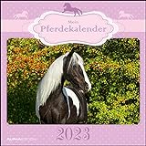 Mein Pferdekalender 2023 - Broschürenkalender 30x30 cm