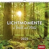Lichtmomente in Wald und Natur 2023: Wandkalender mit Monatskalendarium