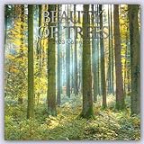 Beauty of Trees – Die Schönheit der Bäume 2023 – 16-Monatskalender: Original Gifted Stationery-Kalender [Mehrsprachig] [Kalender] (Wall-Kalender)