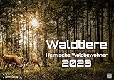 Waldtiere - Heimische Waldbewohner - Der Tierkalender - 2023 - Kalender DIN A2: Der Wandkalender mit den schönsten Waldtier-Motiven!